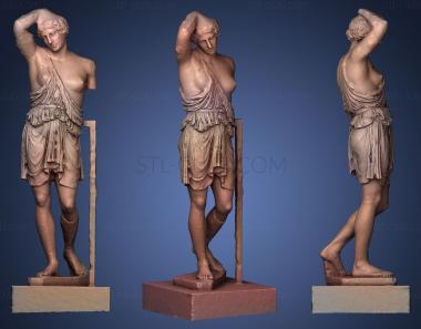 3D model Wounded Amazon (STL)